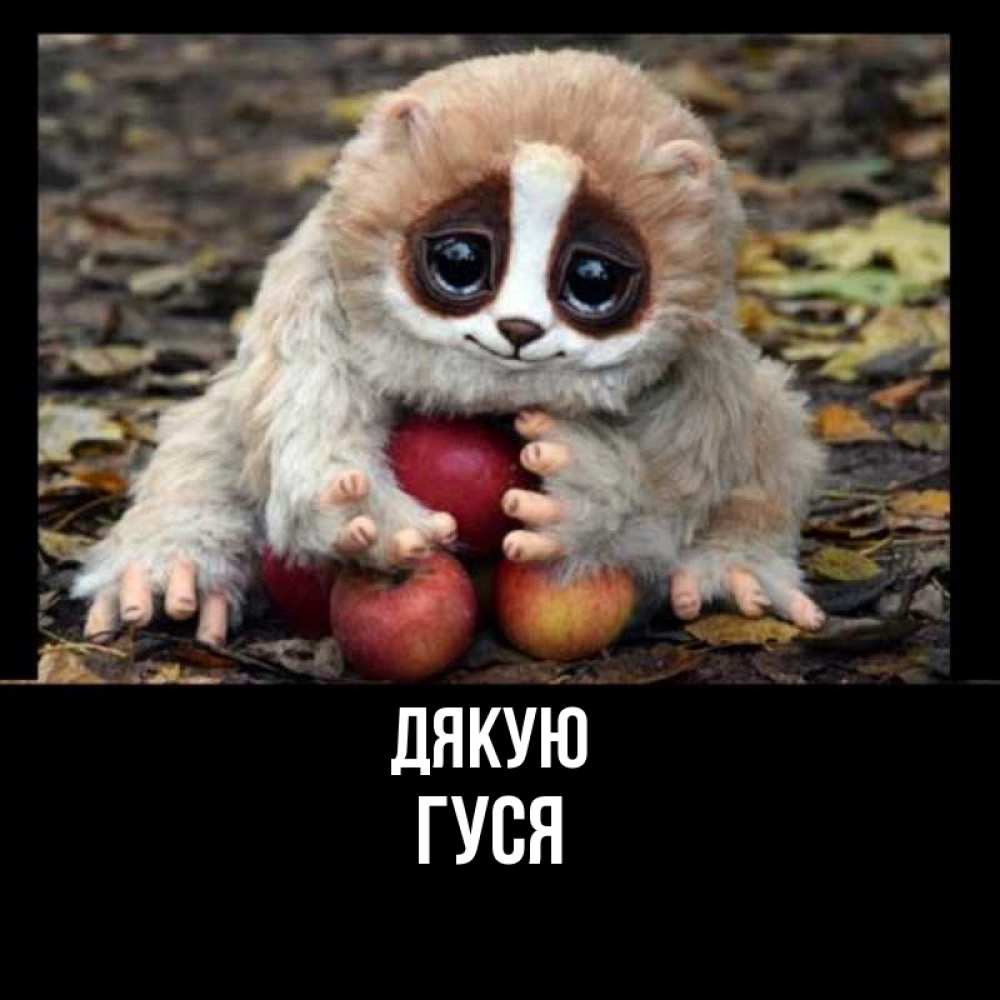 Открытка на каждый день з підписом, Гуся Дякую прикольное животное Прикольна листівка з побажанням онлайн скачати безкоштовно 