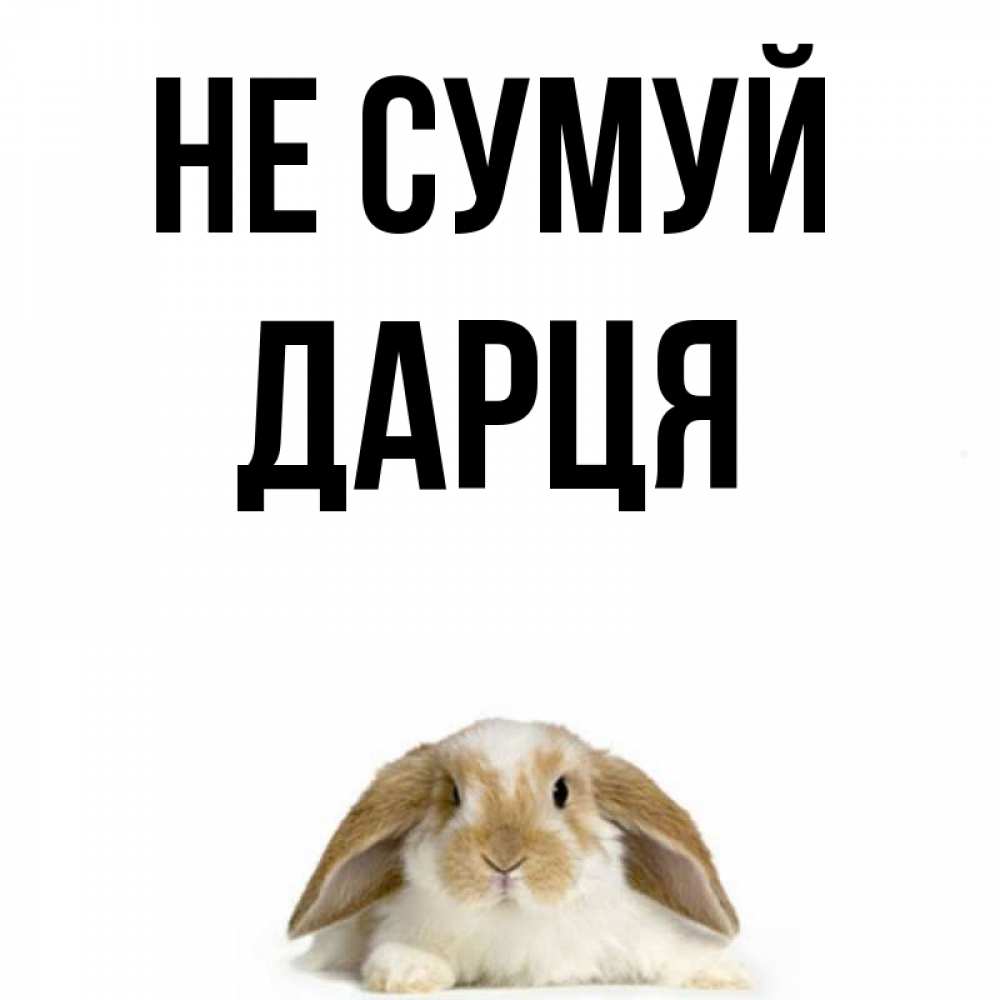 Открытка на каждый день з підписом, Дарця Не сумуй коричнево белый заяц с большими ушками Прикольна листівка з побажанням онлайн скачати безкоштовно 