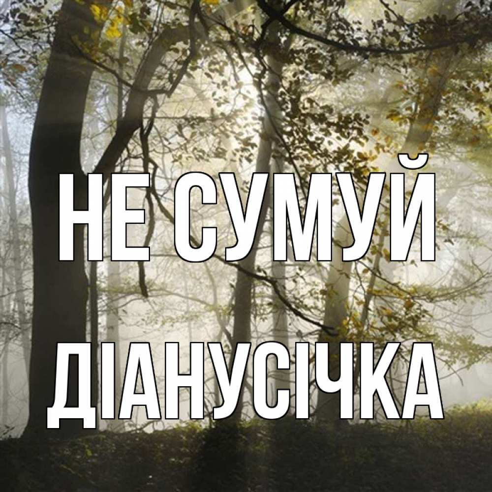 Открытка на каждый день з підписом, Діанусічка Не сумуй лес и свет Прикольна листівка з побажанням онлайн скачати безкоштовно 