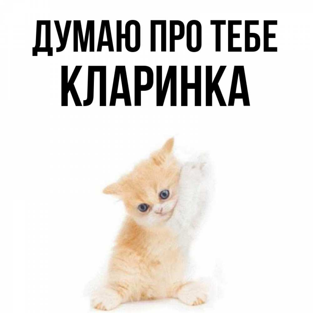 Открытка на каждый день з підписом, Кларинка Думаю про тебе зверушки и милота Прикольна листівка з побажанням онлайн скачати безкоштовно 