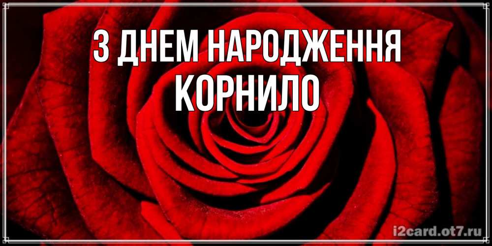 Открытка на каждый день з підписом, Корнило З Днем народження алая роза Прикольна листівка з побажанням онлайн скачати безкоштовно 