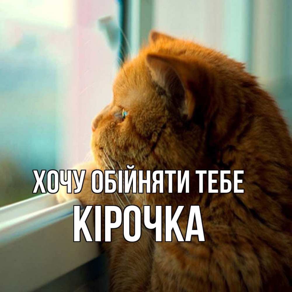Открытка на каждый день з підписом, Кірочка Хочу обійняти тебе большой огромный рыжий котяра Прикольна листівка з побажанням онлайн скачати безкоштовно 