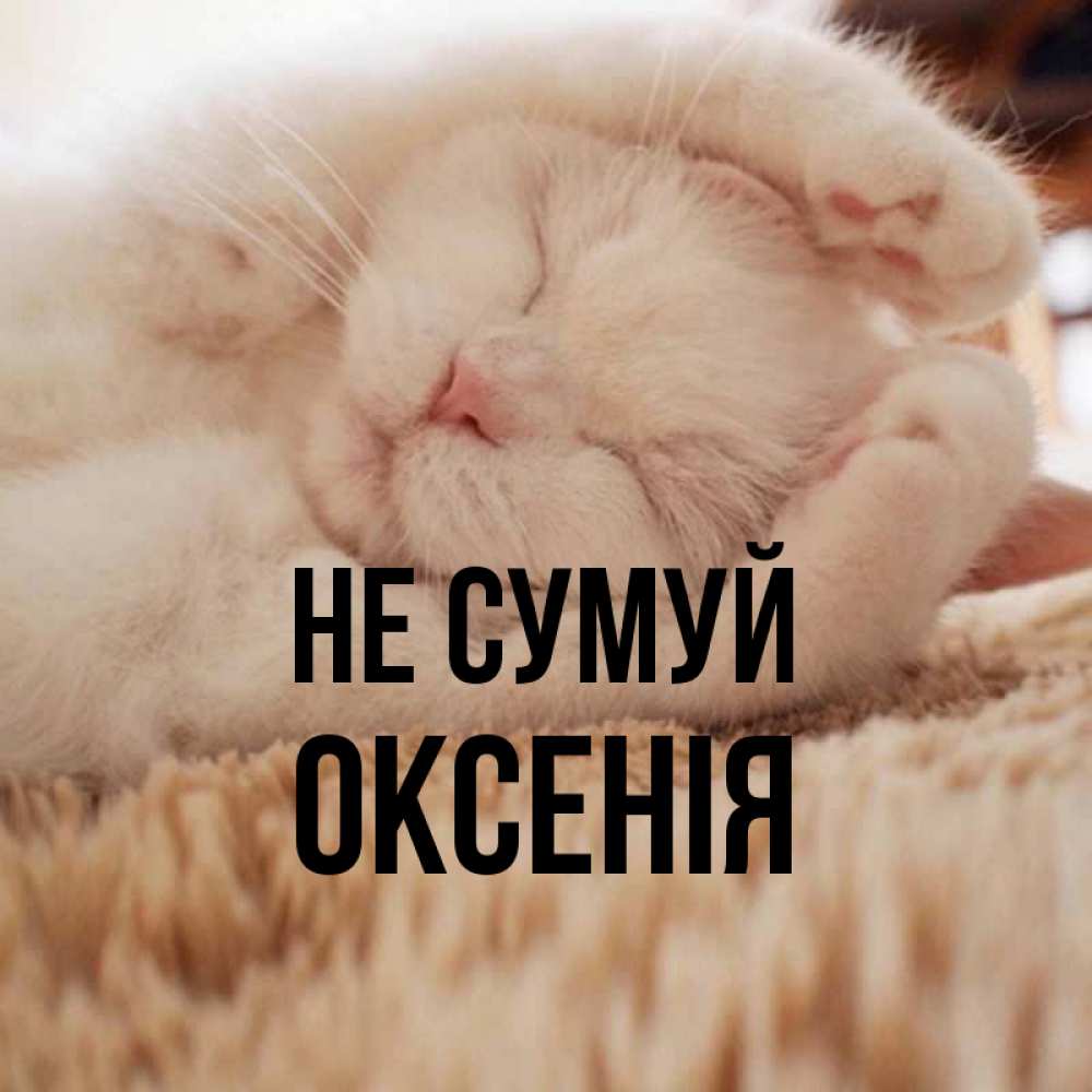 Открытка на каждый день з підписом, Оксенія Не сумуй Котенок спит Прикольна листівка з побажанням онлайн скачати безкоштовно 