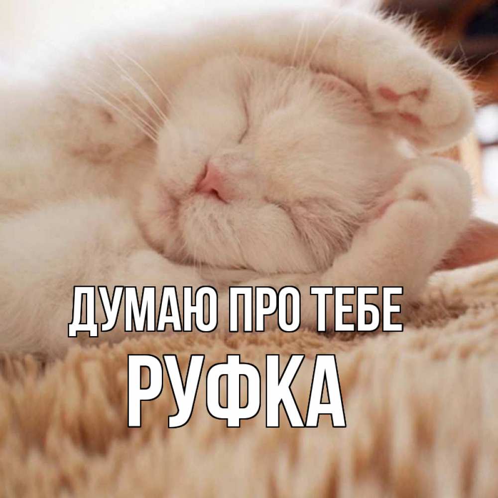 Открытка на каждый день з підписом, Руфка Думаю про тебе для любимой девушки милота Прикольна листівка з побажанням онлайн скачати безкоштовно 