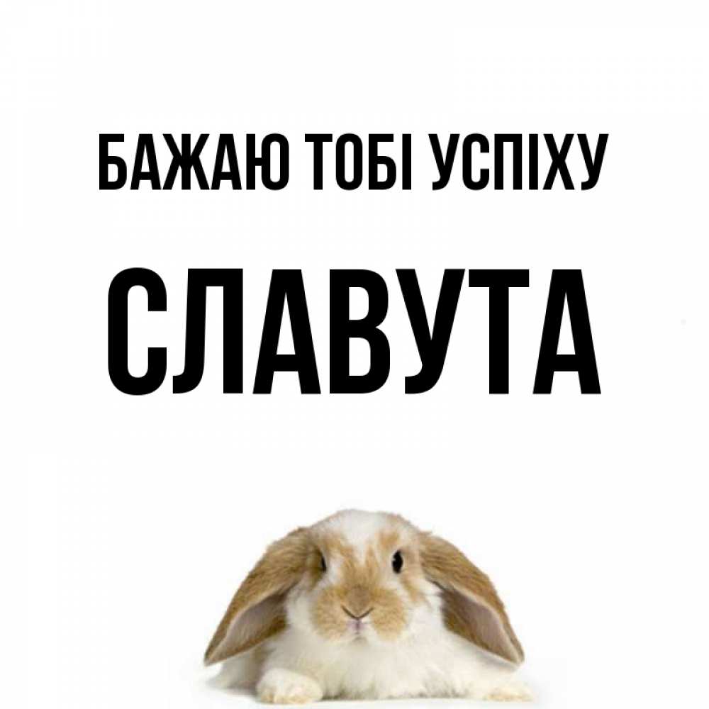 Открытка на каждый день з підписом, Славута Бажаю тобі успіху открытки с произвольным текстом который можно вставить в открытку и создать ее самостоятельно бесплатно онлайн Прикольна листівка з побажанням онлайн скачати безкоштовно 