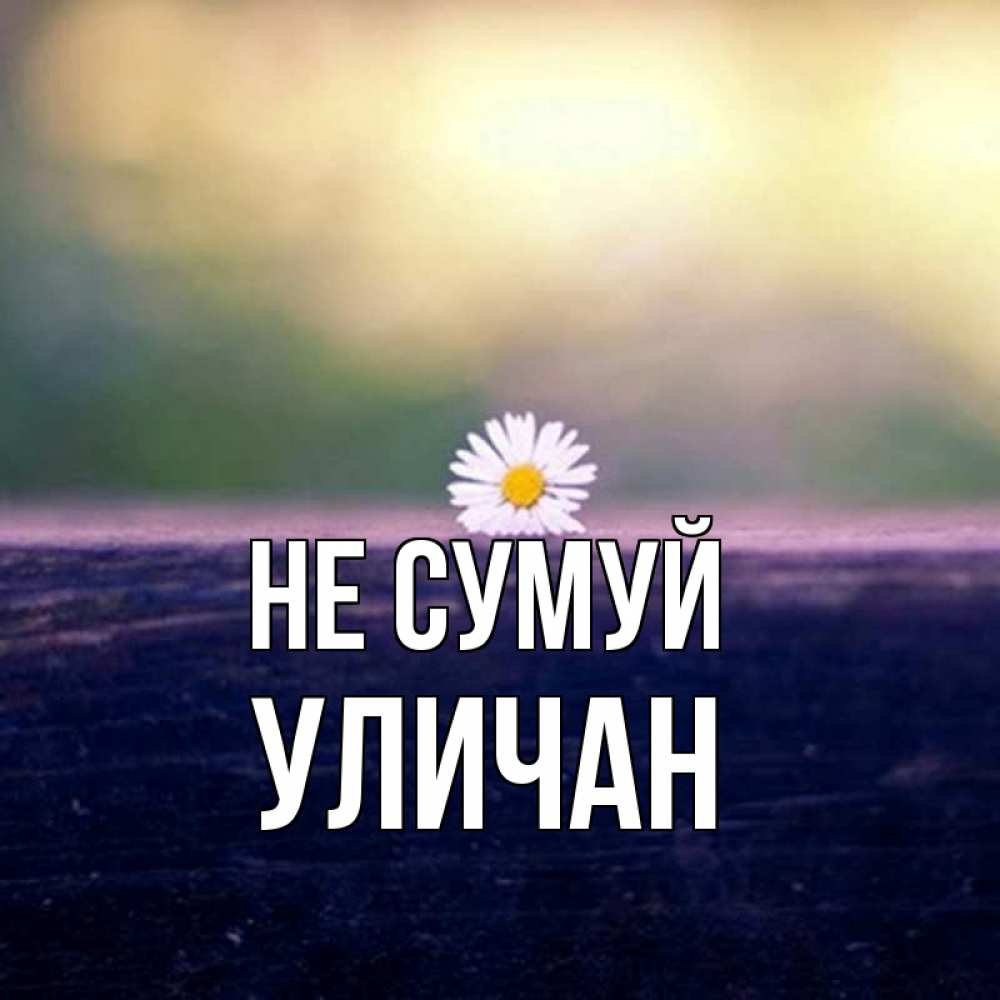 Открытка на каждый день з підписом, Уличан Не сумуй красота Прикольна листівка з побажанням онлайн скачати безкоштовно 