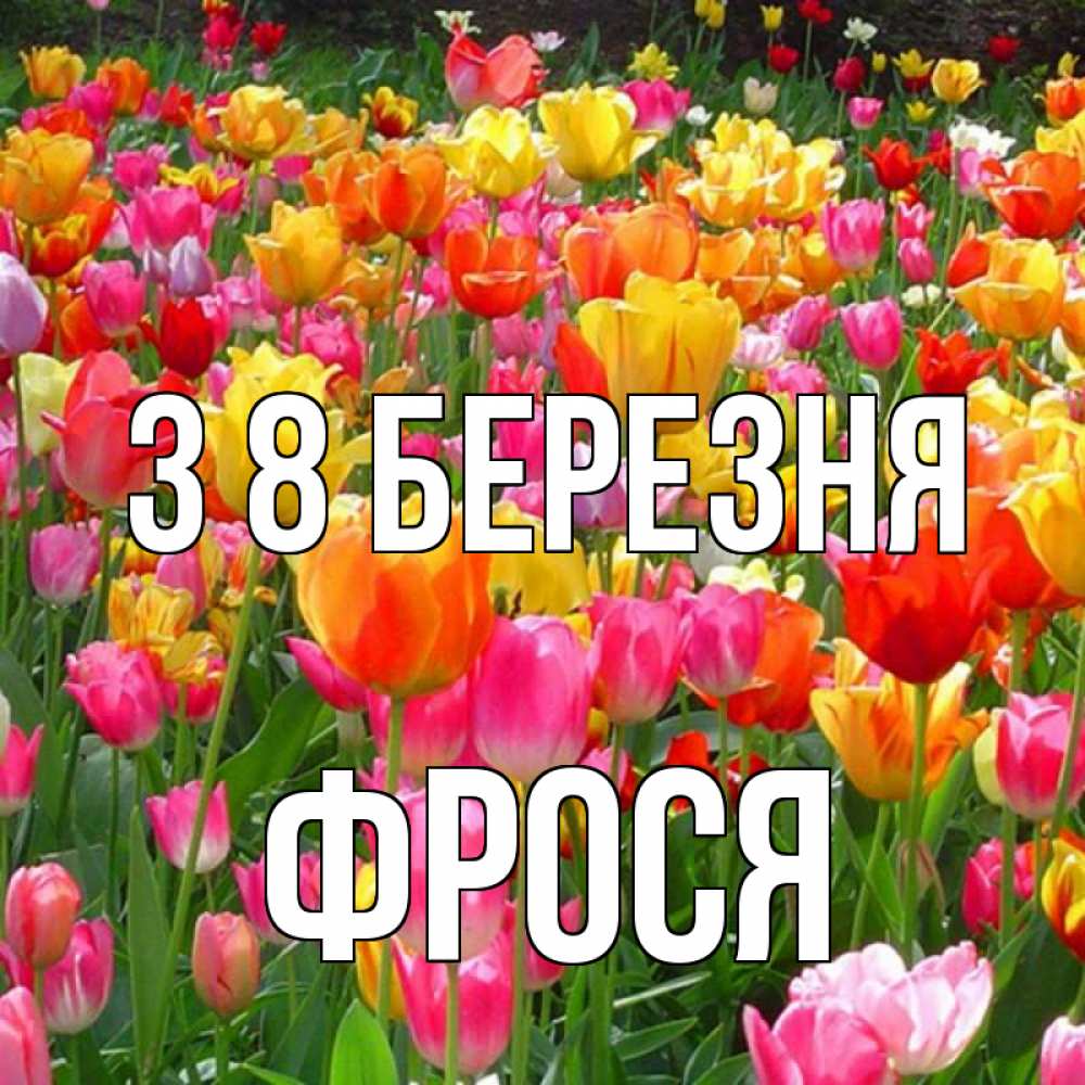 Открытка на каждый день з підписом, Фрося З 8 БЕРЕЗНЯ на международный женский день Прикольна листівка з побажанням онлайн скачати безкоштовно 