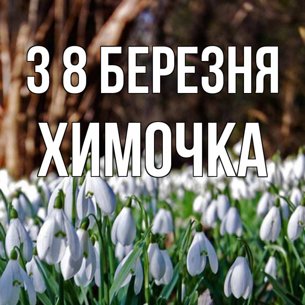 Открытка на каждый день з підписом, Химочка З 8 БЕРЕЗНЯ с подснежниками 1 Прикольна листівка з побажанням онлайн скачати безкоштовно 