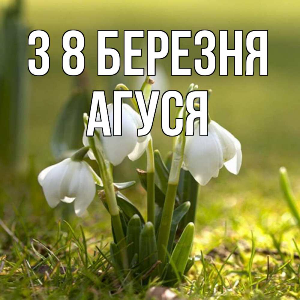 Открытка на каждый день з підписом, Агуся З 8 БЕРЕЗНЯ ранние цветы 2 Прикольна листівка з побажанням онлайн скачати безкоштовно 