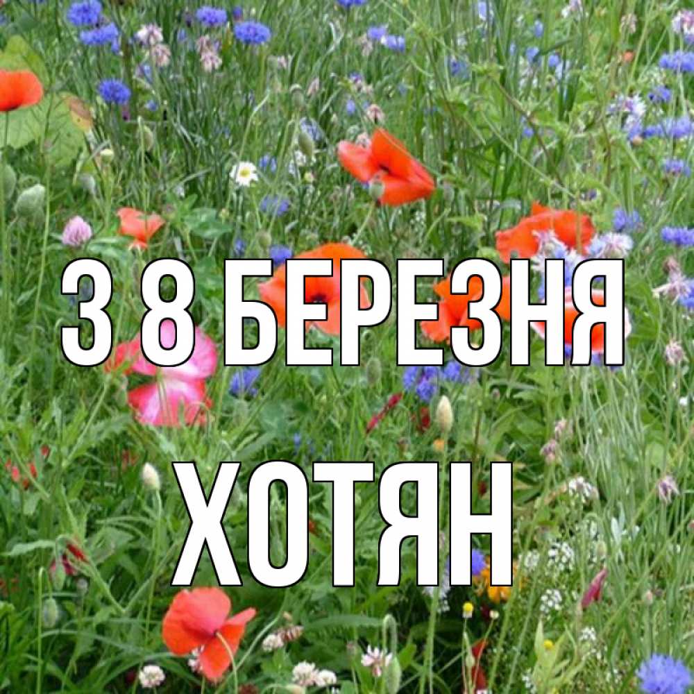 Открытка на каждый день з підписом, Хотян З 8 БЕРЕЗНЯ международный женский день 4 Прикольна листівка з побажанням онлайн скачати безкоштовно 