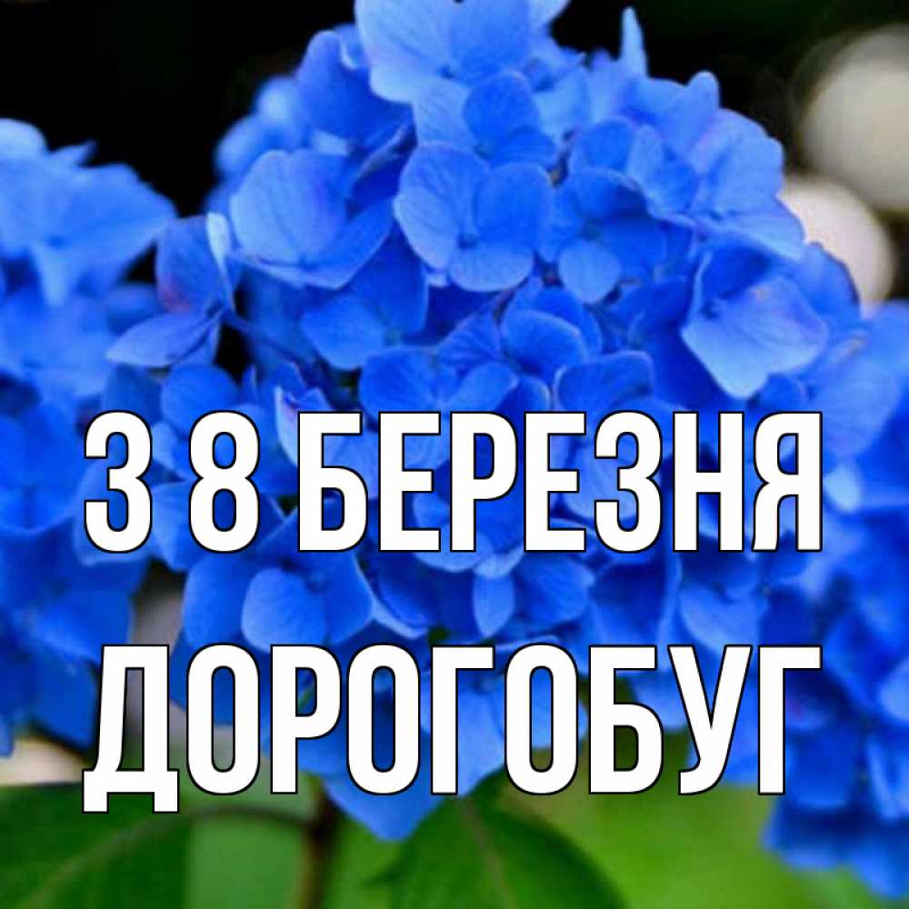 Открытка на каждый день з підписом, Дорогобуг З 8 БЕРЕЗНЯ синие цветы Прикольна листівка з побажанням онлайн скачати безкоштовно 