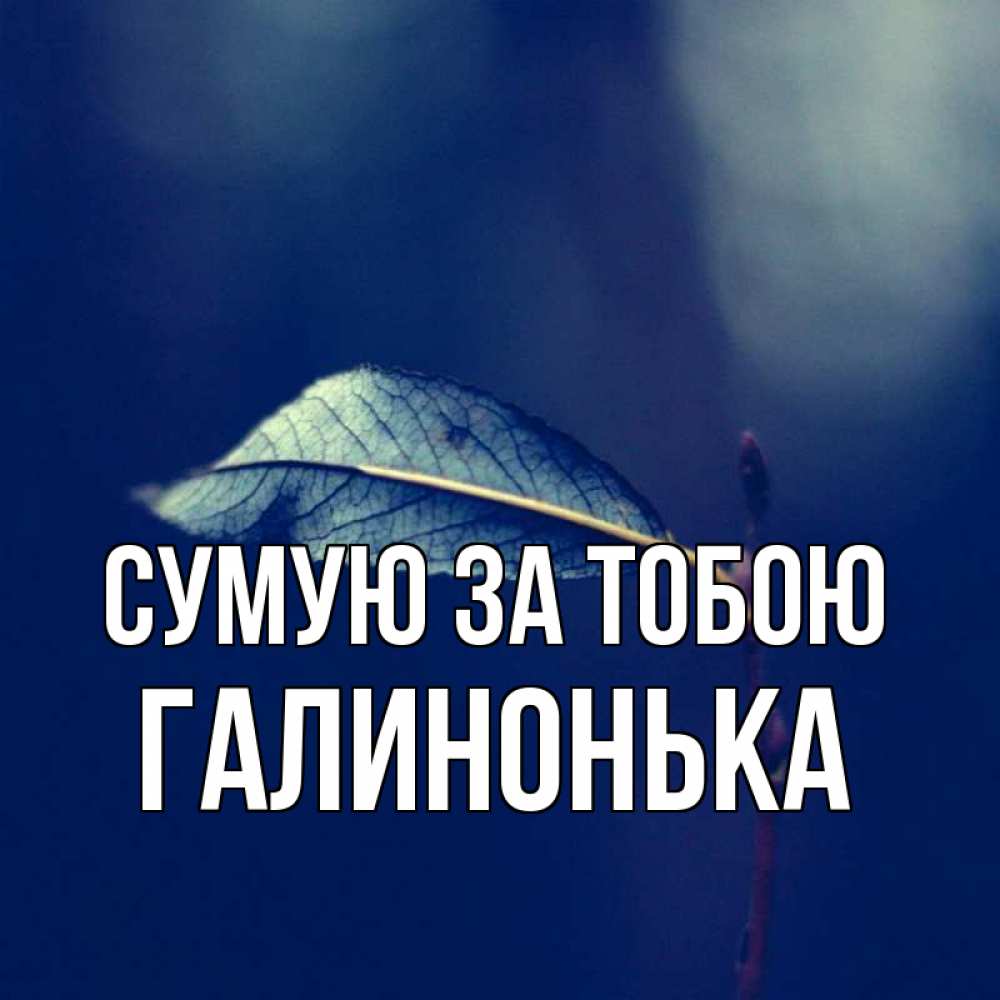 Открытка на каждый день з підписом, Галинонька Сумую за тобою одна ветка 1 Прикольна листівка з побажанням онлайн скачати безкоштовно 