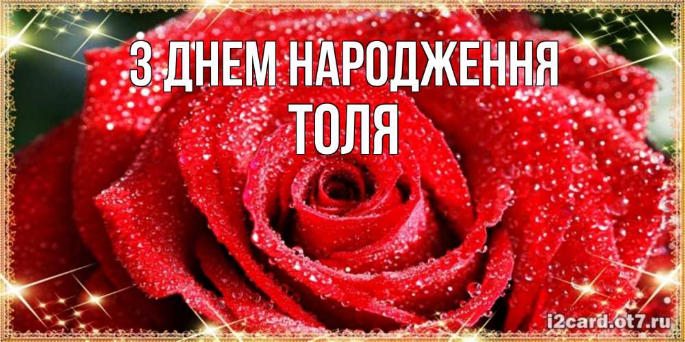 Открытка на каждый день з підписом, Толя З Днем народження роса и роза. открытка с красивой розой Прикольна листівка з побажанням онлайн скачати безкоштовно 
