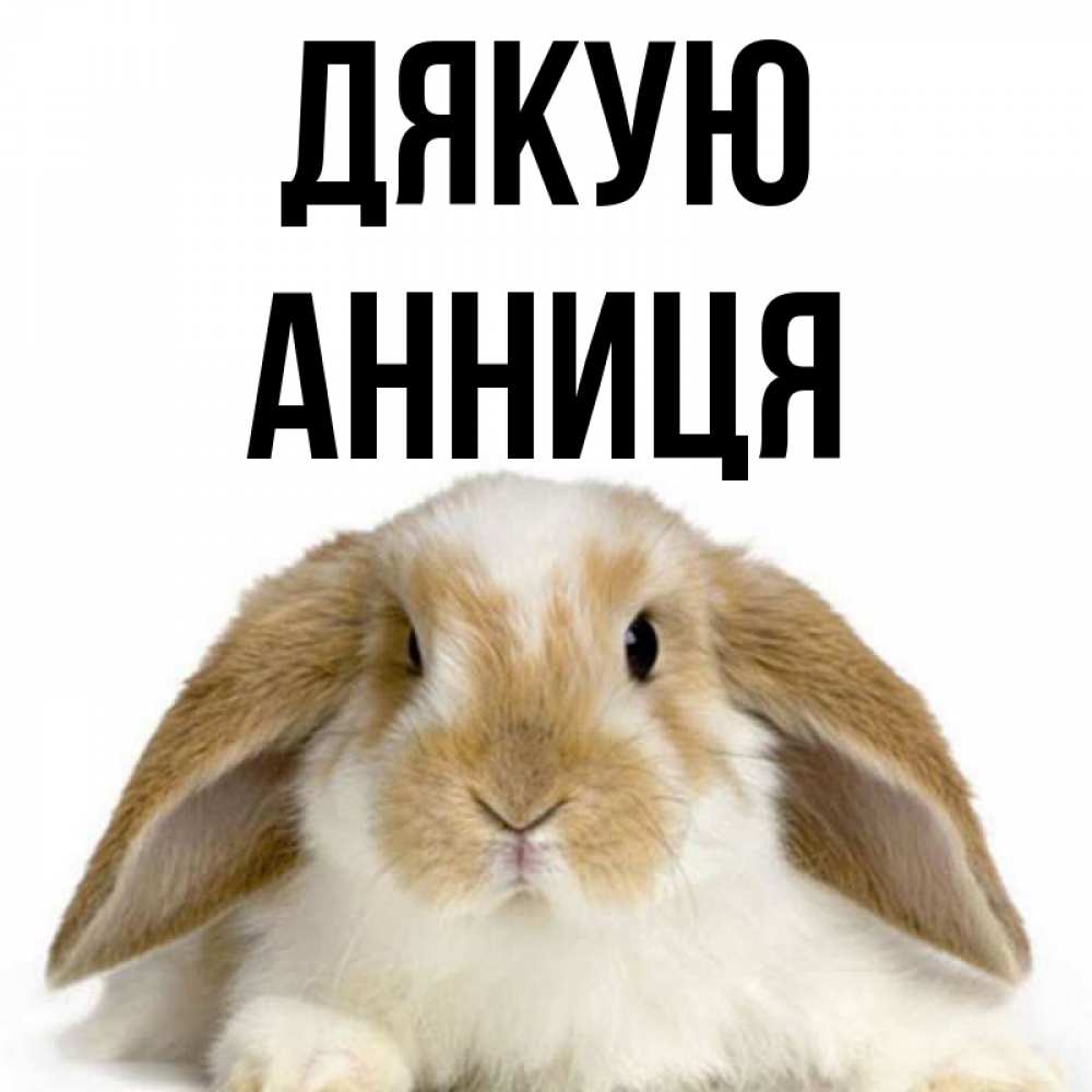 Открытка на каждый день з підписом, Анниця Дякую коричнево белый заяц Прикольна листівка з побажанням онлайн скачати безкоштовно 