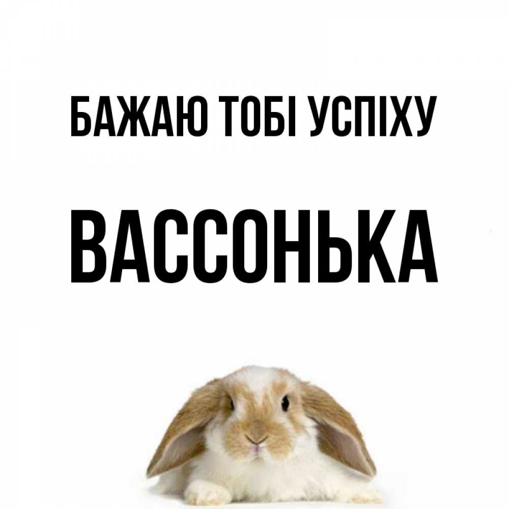 Открытка на каждый день з підписом, Вассонька Бажаю тобі успіху открытки с произвольным текстом который можно вставить в открытку и создать ее самостоятельно бесплатно онлайн Прикольна листівка з побажанням онлайн скачати безкоштовно 