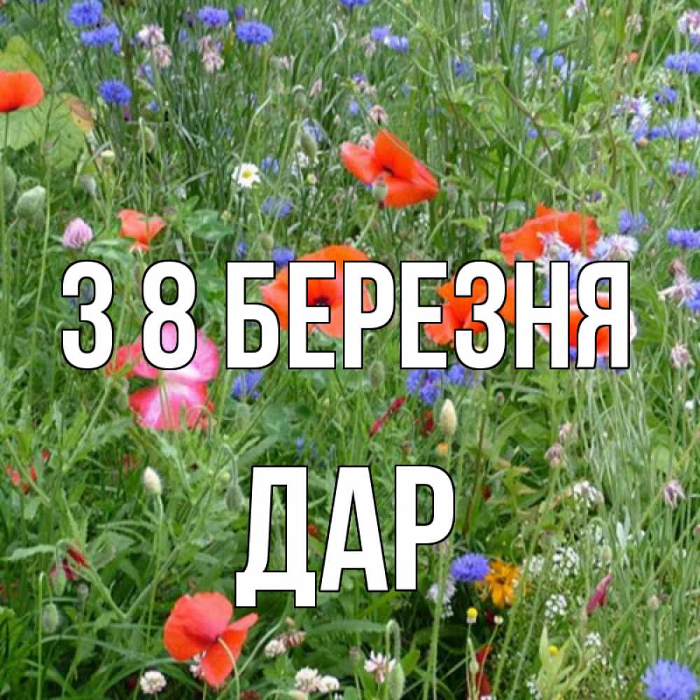 Открытка на каждый день з підписом, Дар З 8 БЕРЕЗНЯ международный женский день 4 Прикольна листівка з побажанням онлайн скачати безкоштовно 