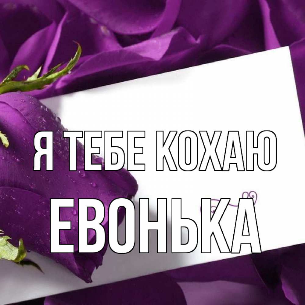 Открытка на каждый день з підписом, Евонька Я тебе кохаю роза Прикольна листівка з побажанням онлайн скачати безкоштовно 