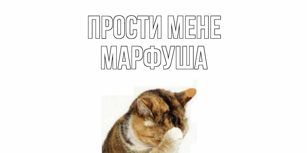 Открытка на каждый день з підписом, Марфуша Прости мене кот Прикольна листівка з побажанням онлайн скачати безкоштовно 