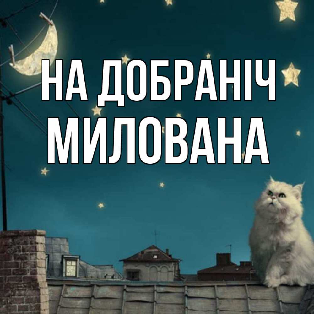 Открытка на каждый день з підписом, Милована На добраніч белый кот сидит на крыше Прикольна листівка з побажанням онлайн скачати безкоштовно 
