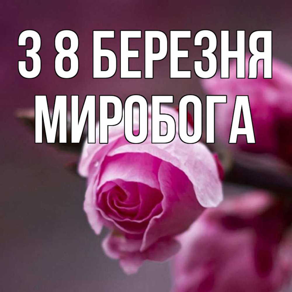 Открытка на каждый день з підписом, Миробога З 8 БЕРЕЗНЯ весна Прикольна листівка з побажанням онлайн скачати безкоштовно 