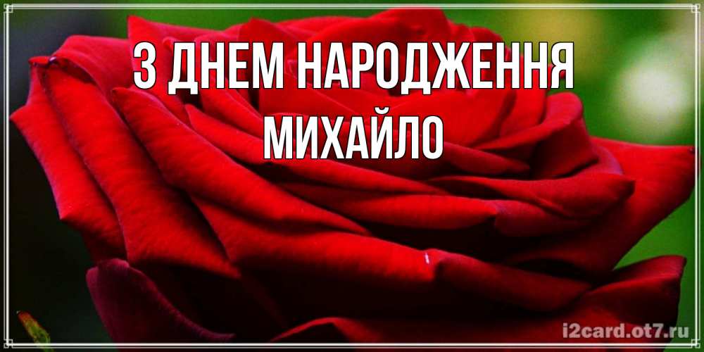 Открытка на каждый день з підписом, Михайло З Днем народження розочка очень красивая Прикольна листівка з побажанням онлайн скачати безкоштовно 