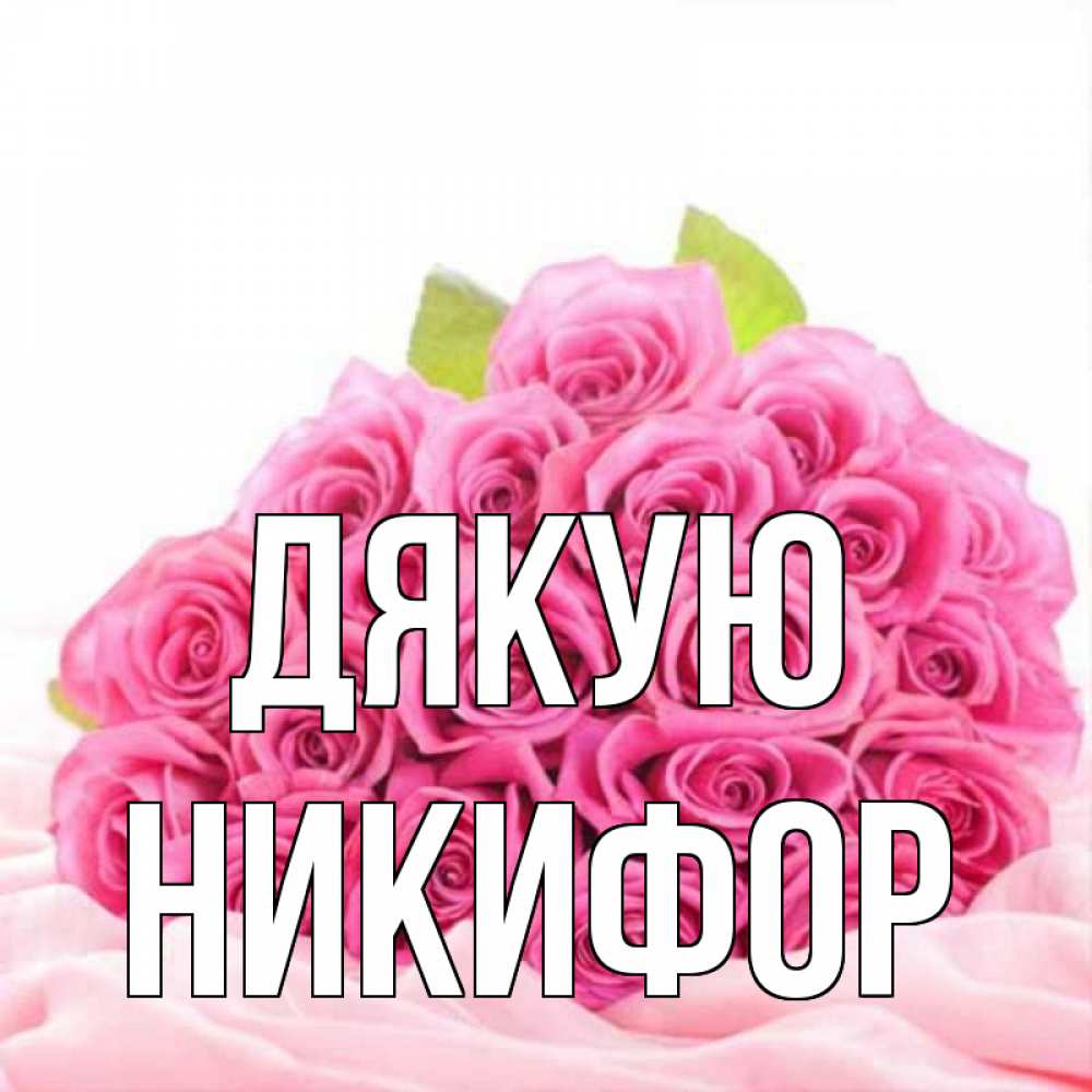 Открытка на каждый день з підписом, Никифор Дякую розовые розы с подписью Прикольна листівка з побажанням онлайн скачати безкоштовно 