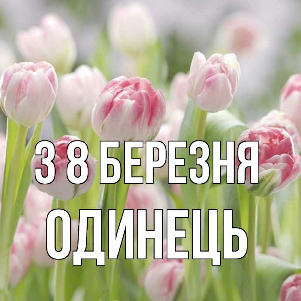 Открытка на каждый день з підписом, Одинець З 8 БЕРЕЗНЯ цветы Прикольна листівка з побажанням онлайн скачати безкоштовно 