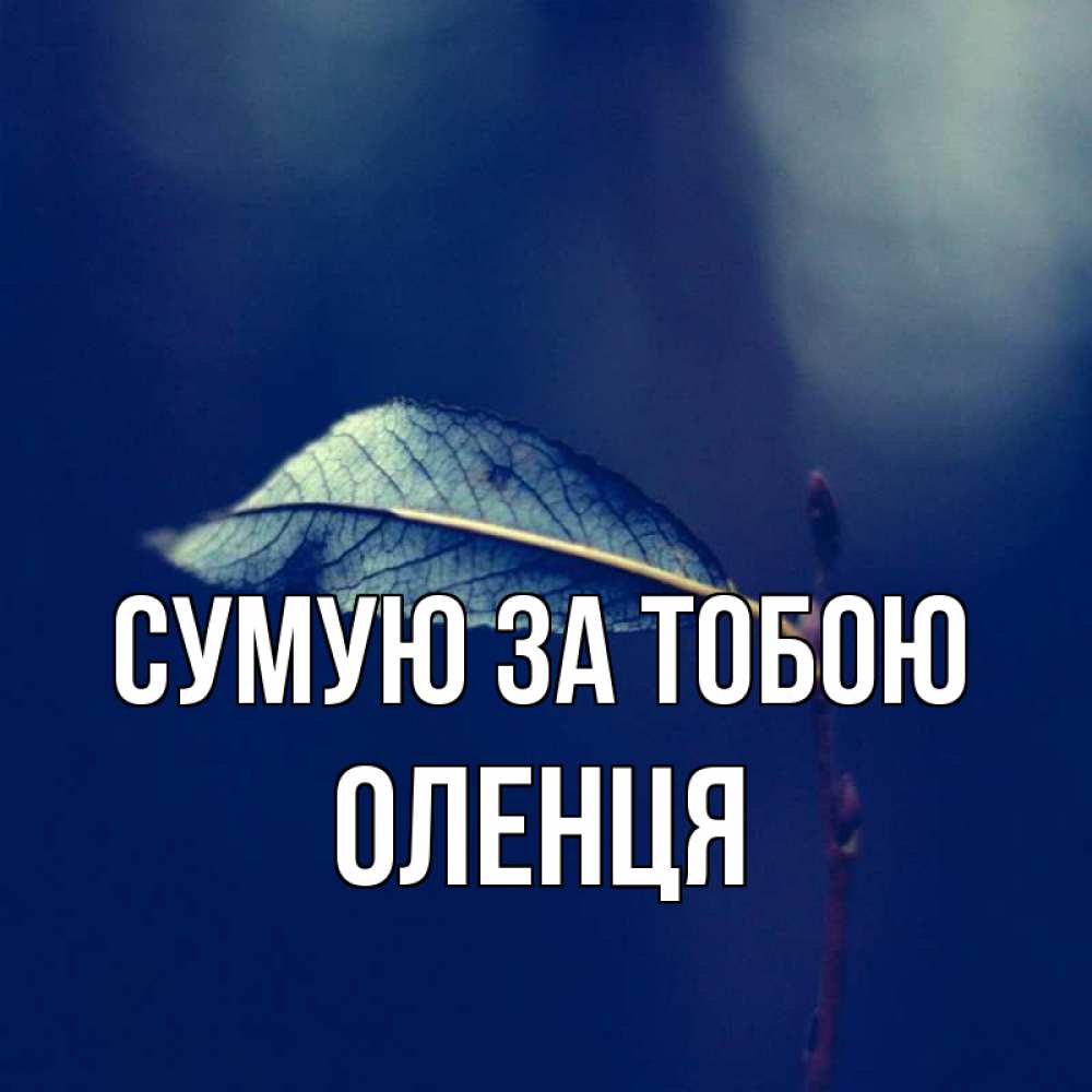 Открытка на каждый день з підписом, Оленця Сумую за тобою одна ветка 1 Прикольна листівка з побажанням онлайн скачати безкоштовно 