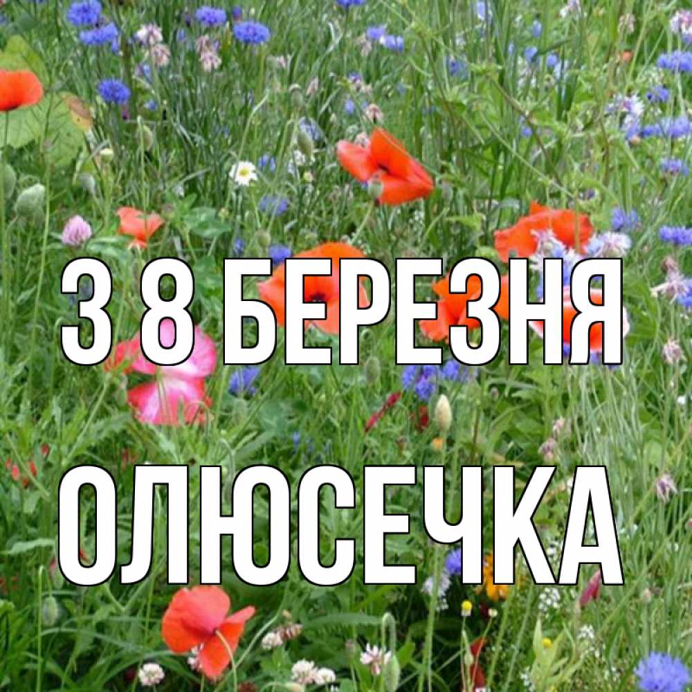 Открытка на каждый день з підписом, Олюсечка З 8 БЕРЕЗНЯ международный женский день 4 Прикольна листівка з побажанням онлайн скачати безкоштовно 