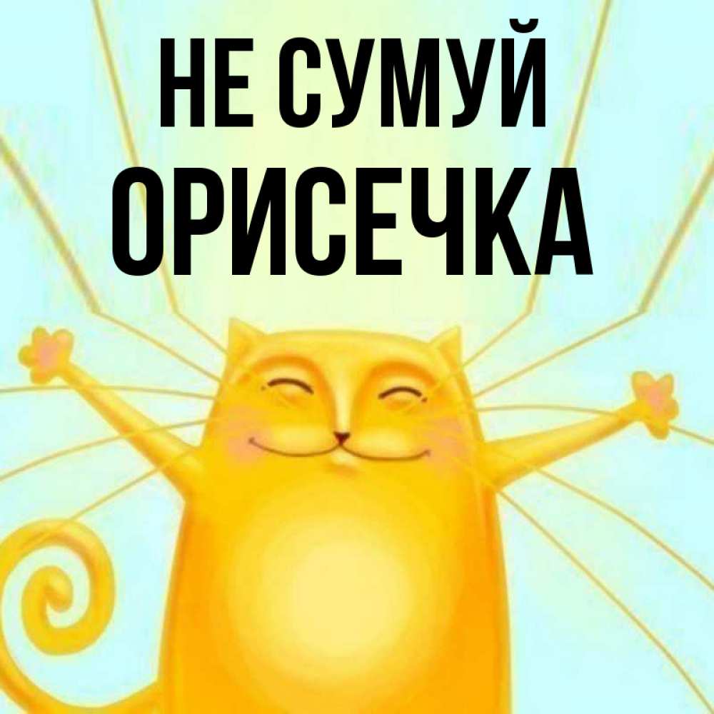 Открытка на каждый день з підписом, Орисечка Не сумуй обнимашки усатые Прикольна листівка з побажанням онлайн скачати безкоштовно 