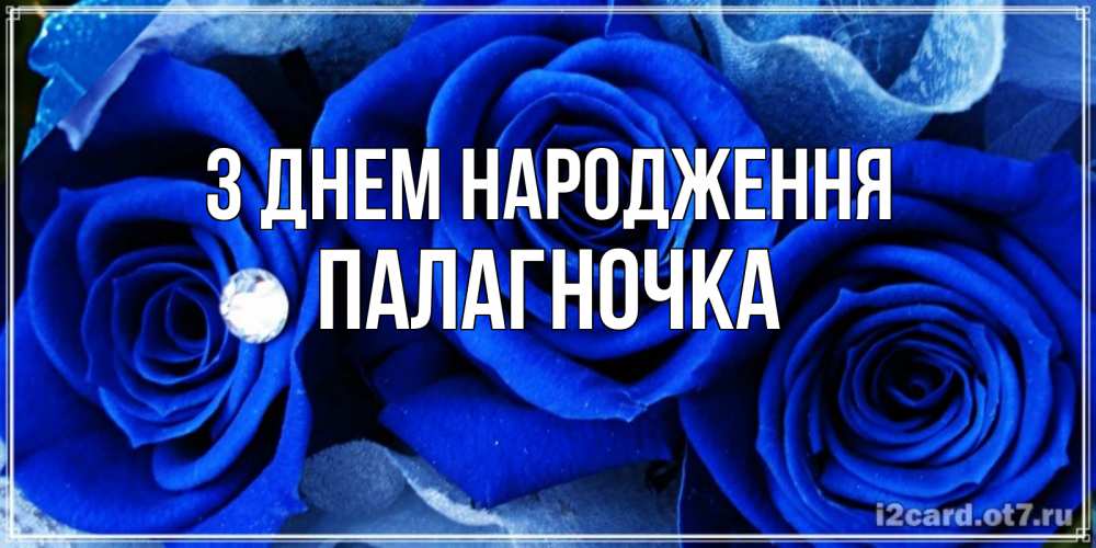 Открытка на каждый день з підписом, Палагночка З Днем народження синие розы в росе Прикольна листівка з побажанням онлайн скачати безкоштовно 