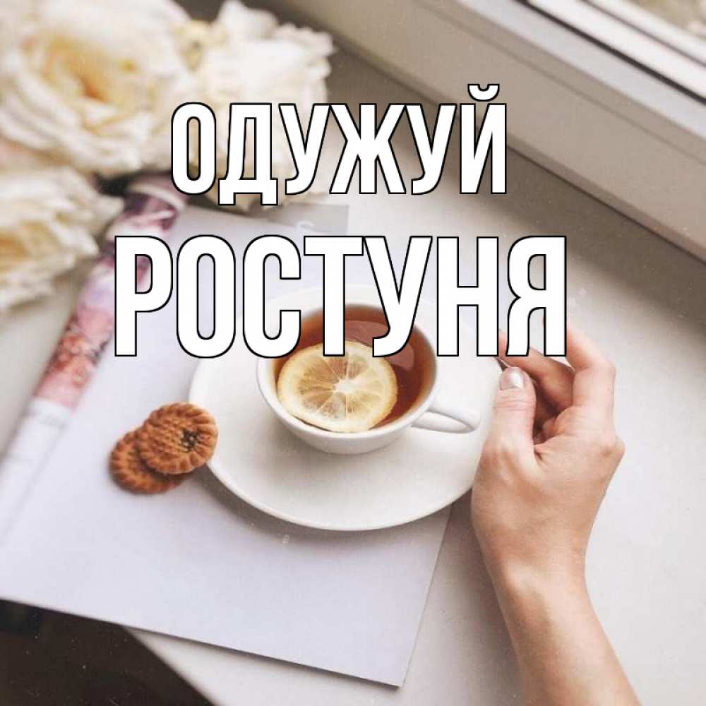 Открытка на каждый день з підписом, Ростуня Одужуй и печеньками Прикольна листівка з побажанням онлайн скачати безкоштовно 