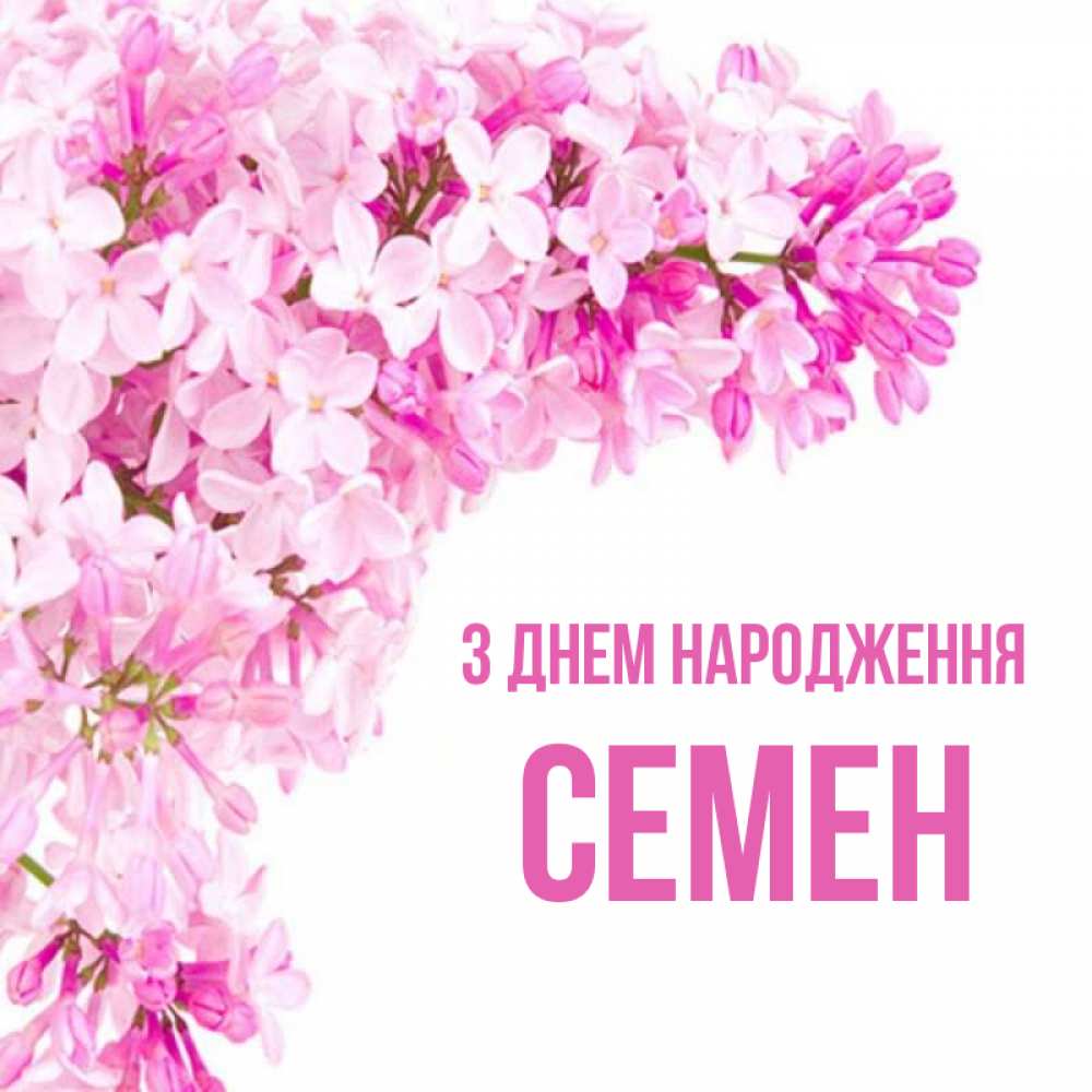 Открытка на каждый день з підписом, Семен З Днем народження Сирень на белом фоне Прикольна листівка з побажанням онлайн скачати безкоштовно 