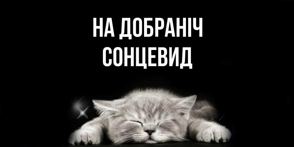 Открытка на каждый день з підписом, Сонцевид На добраніч спящий котик Прикольна листівка з побажанням онлайн скачати безкоштовно 