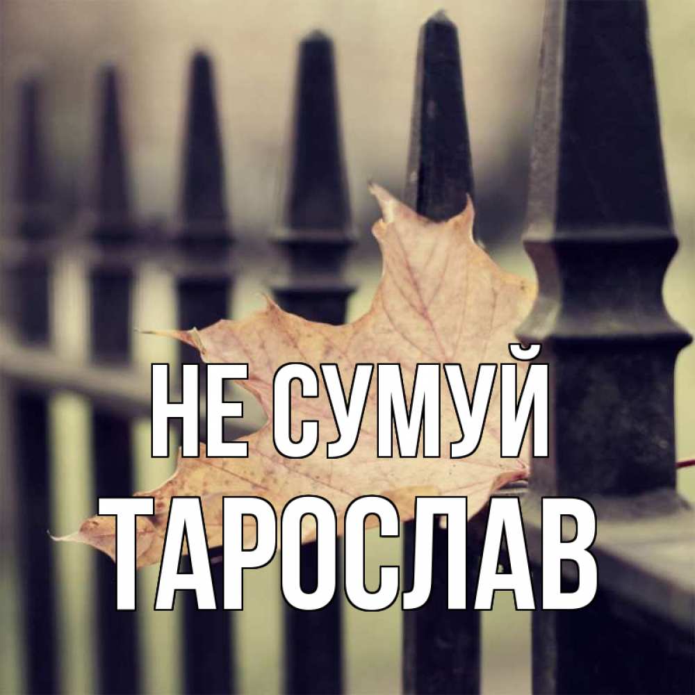 Открытка на каждый день з підписом, Тарослав Не сумуй лист клена Прикольна листівка з побажанням онлайн скачати безкоштовно 