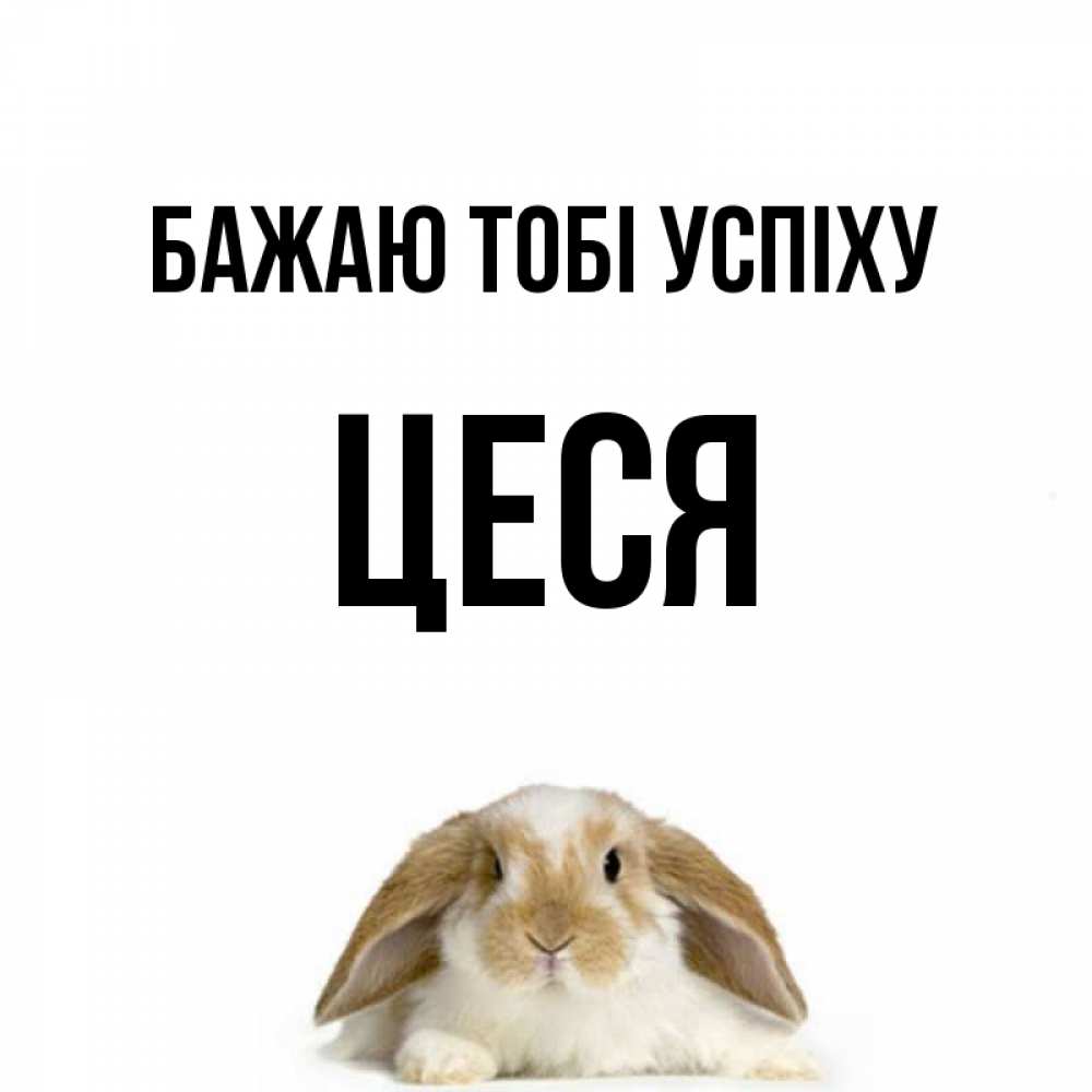Открытка на каждый день з підписом, Цеся Бажаю тобі успіху открытки с произвольным текстом который можно вставить в открытку и создать ее самостоятельно бесплатно онлайн Прикольна листівка з побажанням онлайн скачати безкоштовно 