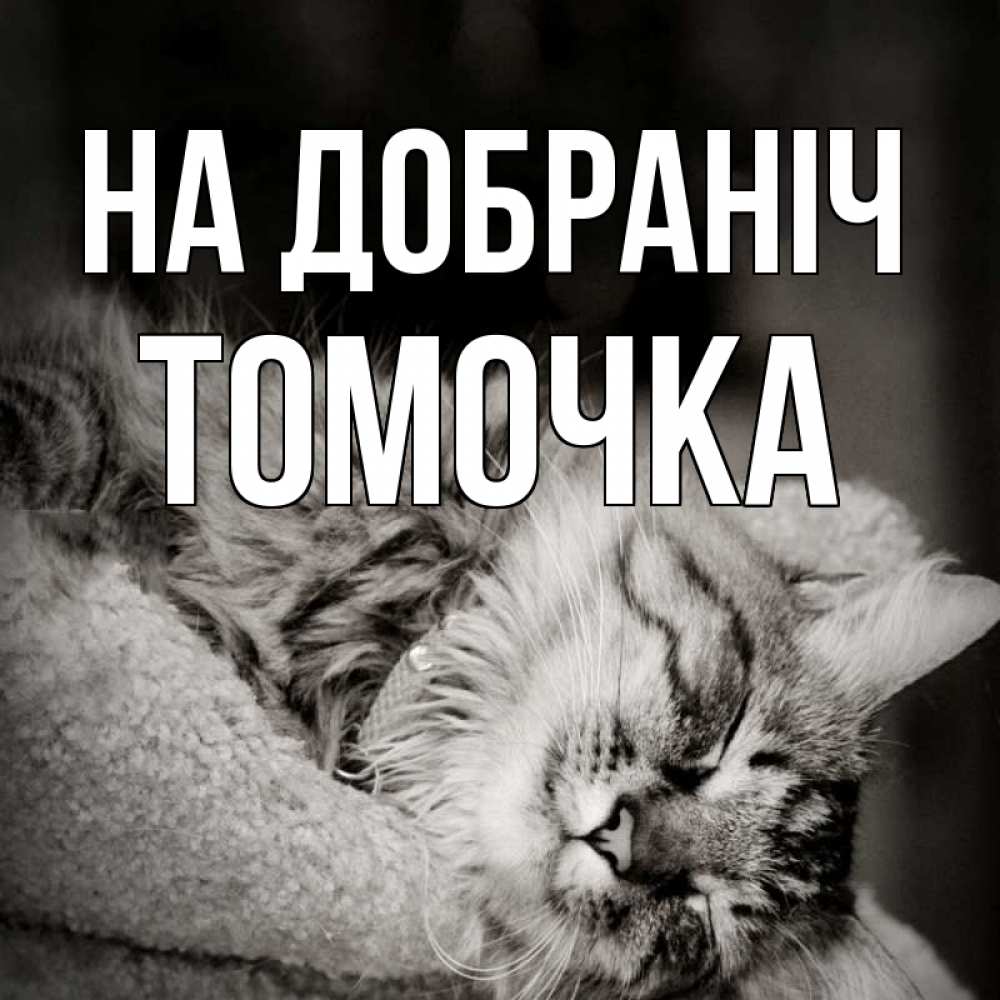Открытка на каждый день з підписом, Томочка На добраніч котярик пушистый Прикольна листівка з побажанням онлайн скачати безкоштовно 