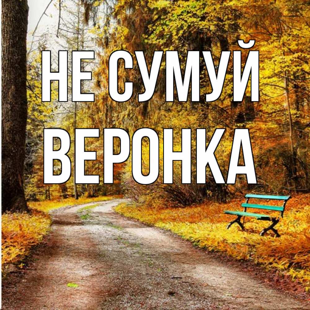 Открытка на каждый день з підписом, Веронка Не сумуй зеленая лавочка Прикольна листівка з побажанням онлайн скачати безкоштовно 