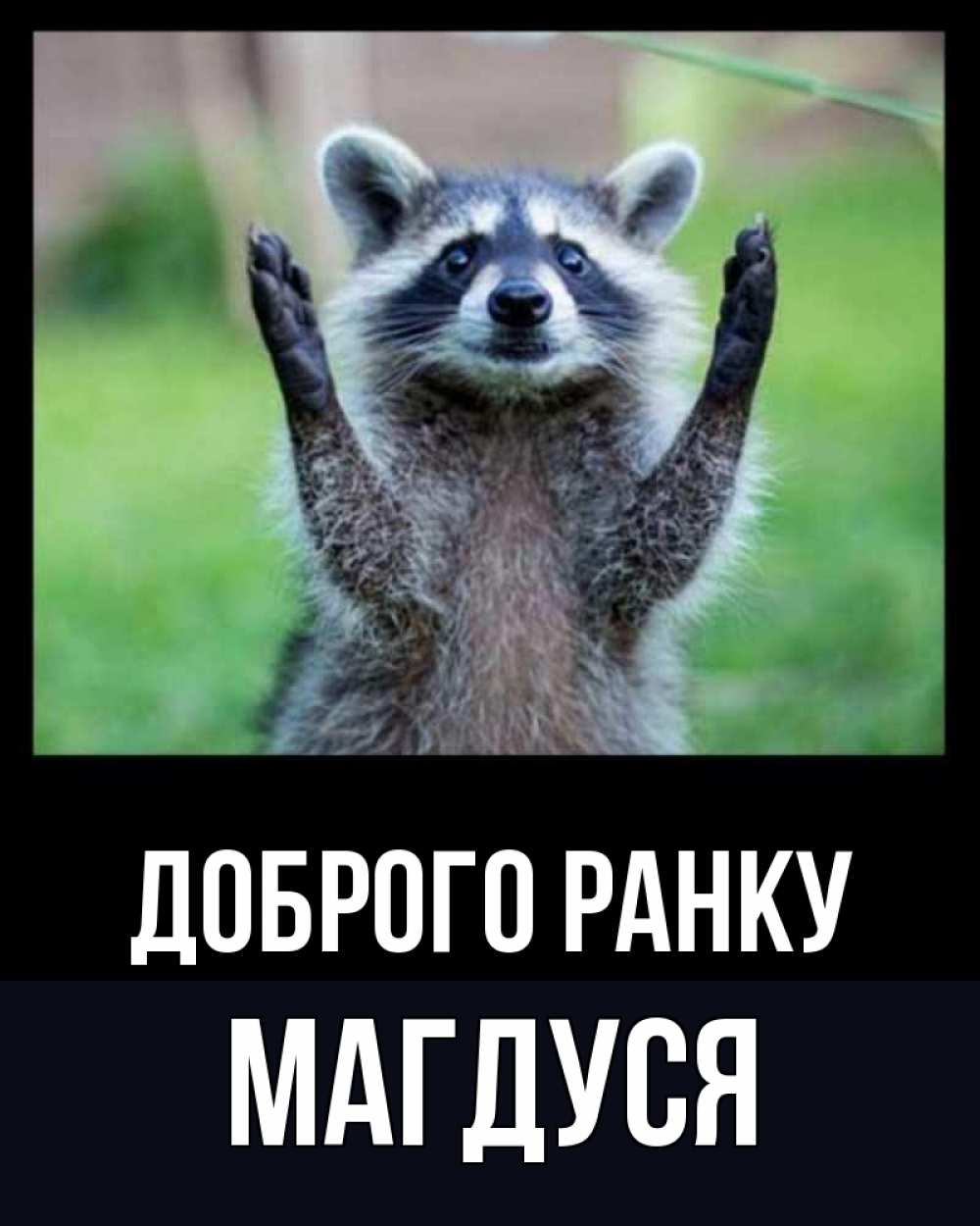 Открытка на каждый день з підписом, Магдуся Доброго ранку хорошее настроение утречком Прикольна листівка з побажанням онлайн скачати безкоштовно 