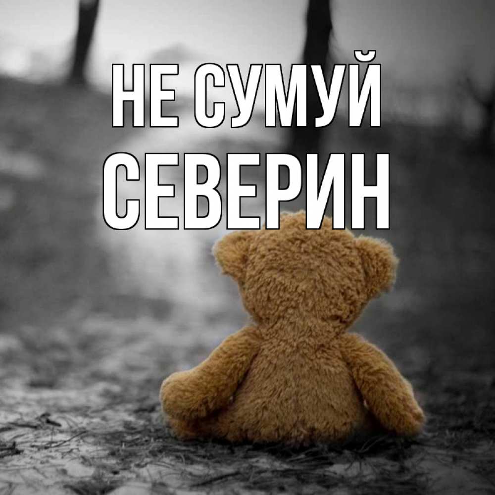 Открытка на каждый день з підписом, Северин Не сумуй медведь со спин Прикольна листівка з побажанням онлайн скачати безкоштовно 