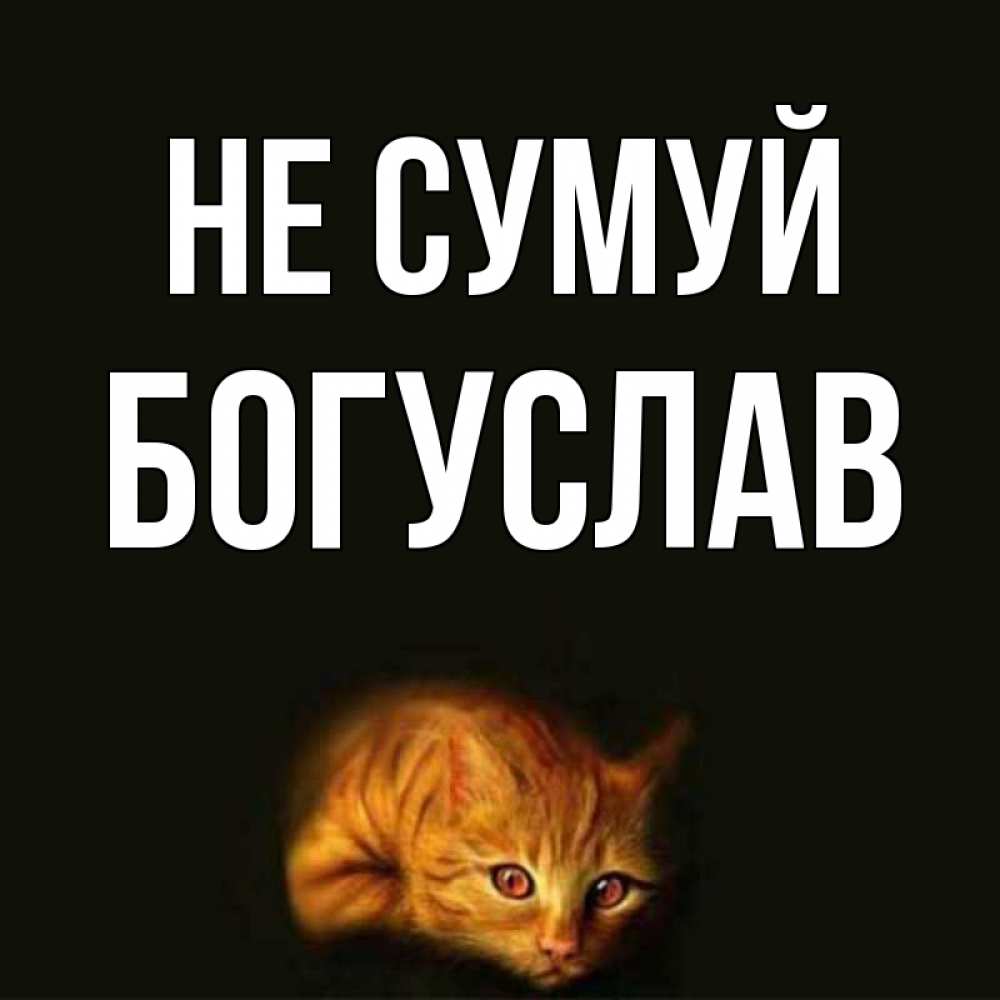 Открытка на каждый день з підписом, Богуслав Не сумуй лежащий кот в темноте Прикольна листівка з побажанням онлайн скачати безкоштовно 