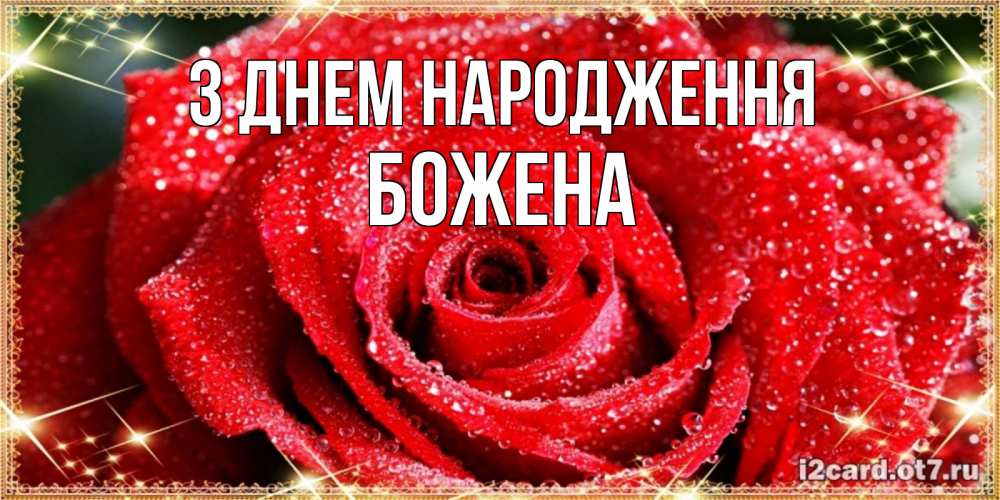 Открытка на каждый день з підписом, Божена З Днем народження роса и роза. открытка с красивой розой Прикольна листівка з побажанням онлайн скачати безкоштовно 