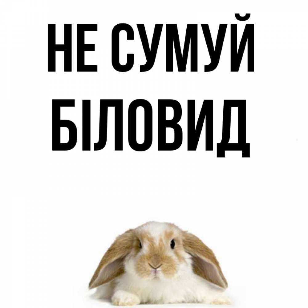 Открытка на каждый день з підписом, Біловид Не сумуй коричнево белый заяц с большими ушками Прикольна листівка з побажанням онлайн скачати безкоштовно 