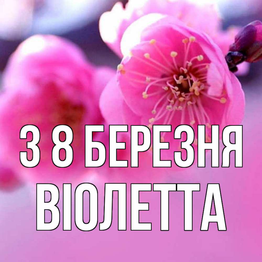 Открытка на каждый день з підписом, Віолетта З 8 БЕРЕЗНЯ международный женский день Прикольна листівка з побажанням онлайн скачати безкоштовно 