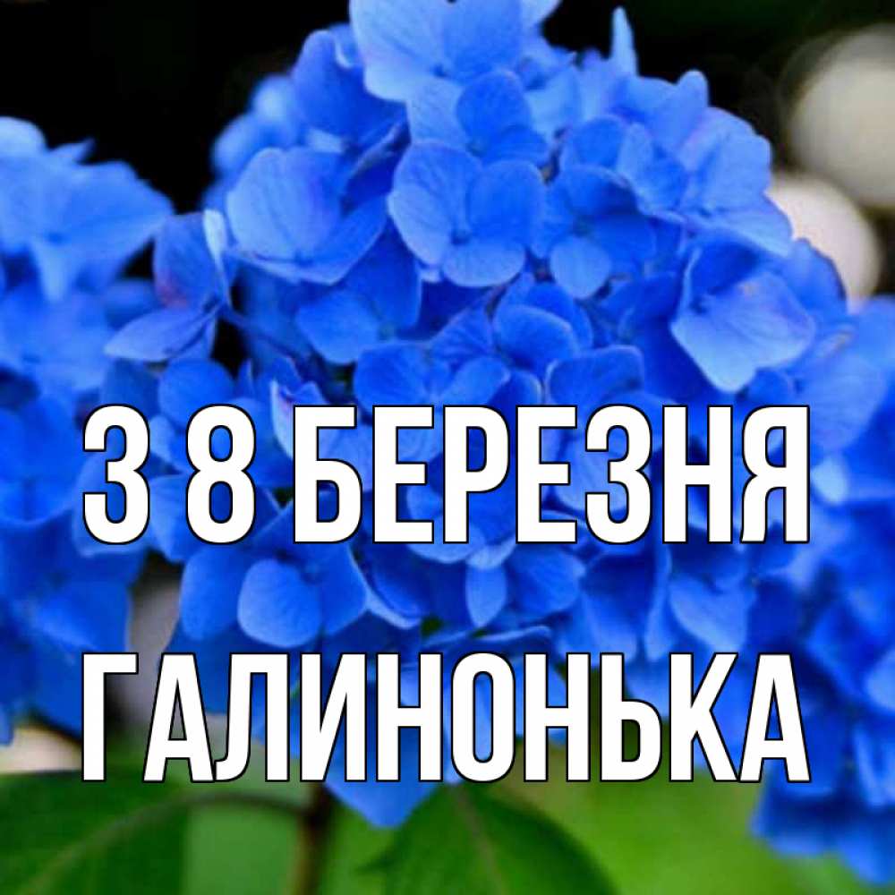 Открытка на каждый день з підписом, Галинонька З 8 БЕРЕЗНЯ синие цветы Прикольна листівка з побажанням онлайн скачати безкоштовно 