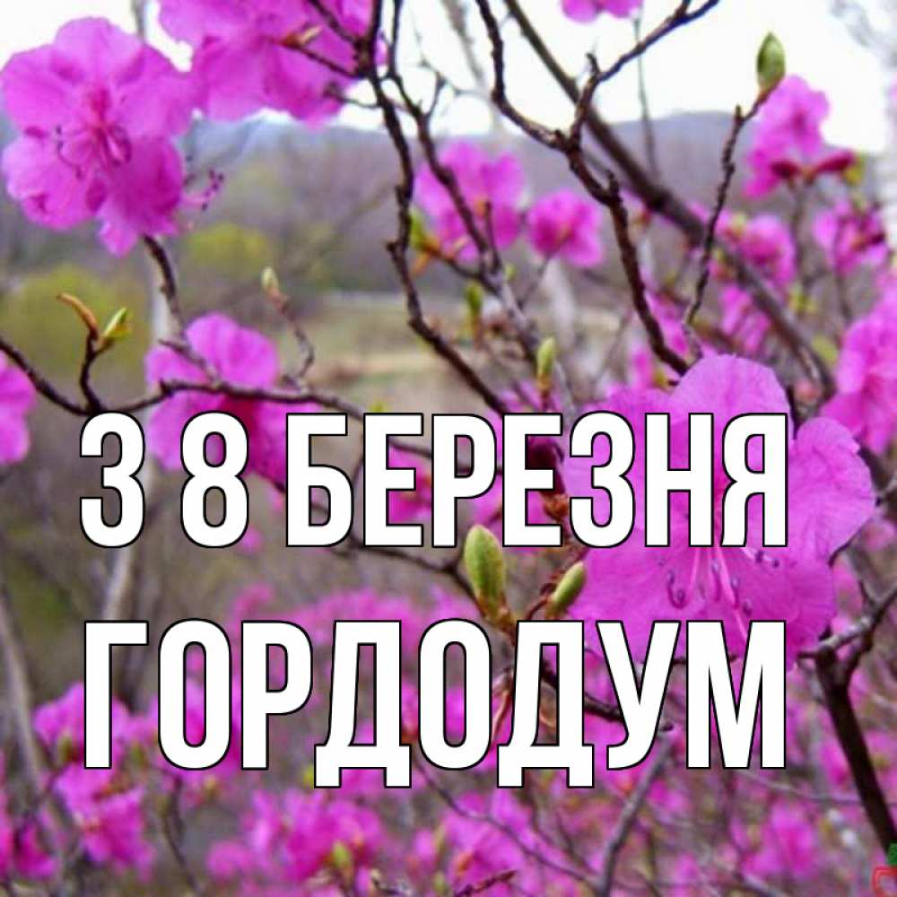 Открытка на каждый день з підписом, Гордодум З 8 БЕРЕЗНЯ международный женский день Прикольна листівка з побажанням онлайн скачати безкоштовно 