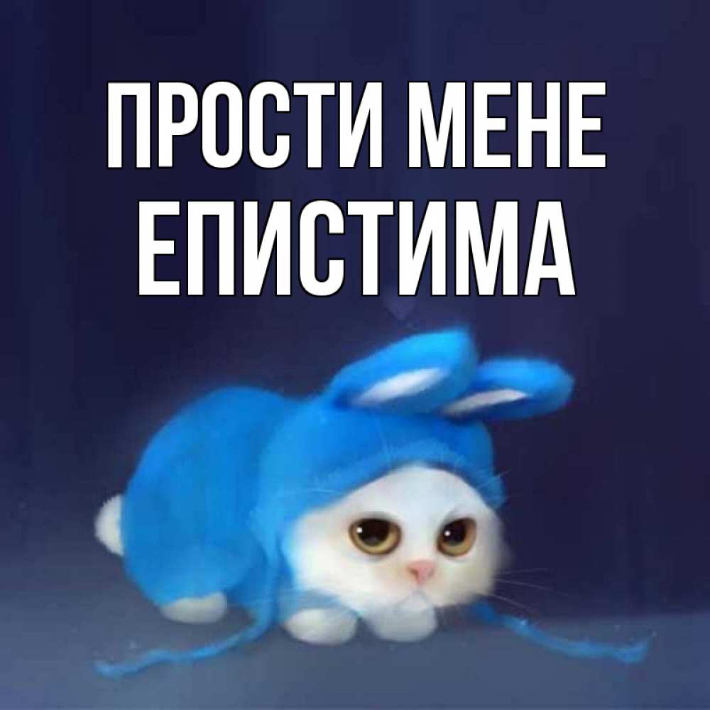 Открытка на каждый день з підписом, Епистима Прости мене невинный котозай просит прощения Прикольна листівка з побажанням онлайн скачати безкоштовно 