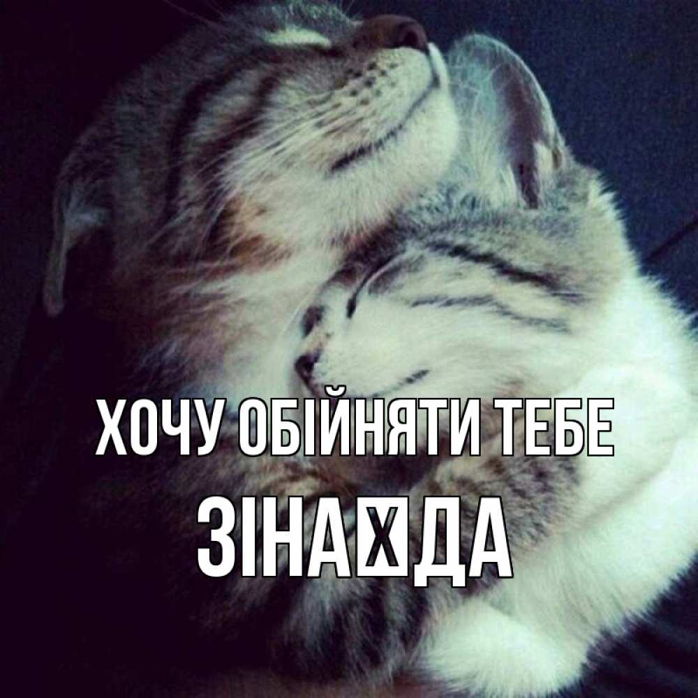 Открытка на каждый день з підписом, Зінаїда Хочу обійняти тебе полосатики Прикольна листівка з побажанням онлайн скачати безкоштовно 