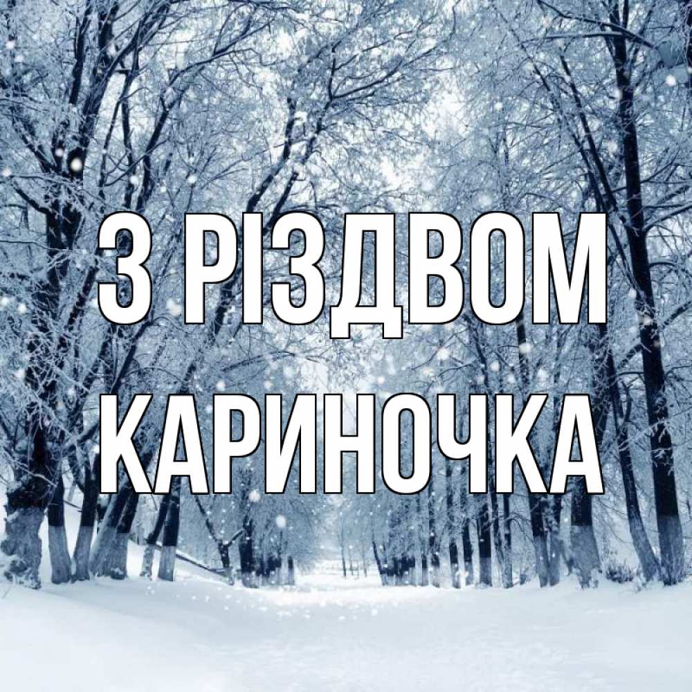 Открытка на каждый день з підписом, Кариночка З Різдвом снег, лес, парк Прикольна листівка з побажанням онлайн скачати безкоштовно 