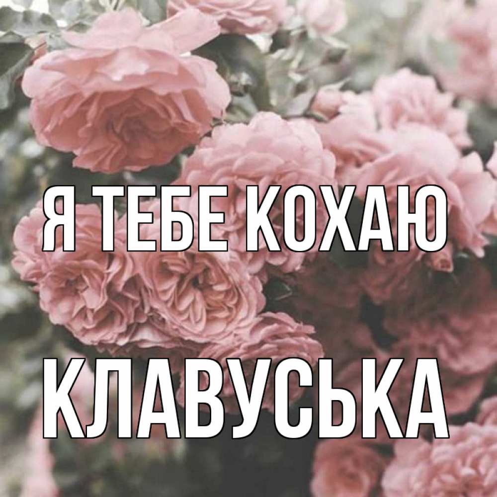 Открытка на каждый день з підписом, Клавуська Я тебе кохаю розы 3 Прикольна листівка з побажанням онлайн скачати безкоштовно 